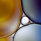 Curves by Mandy Brown