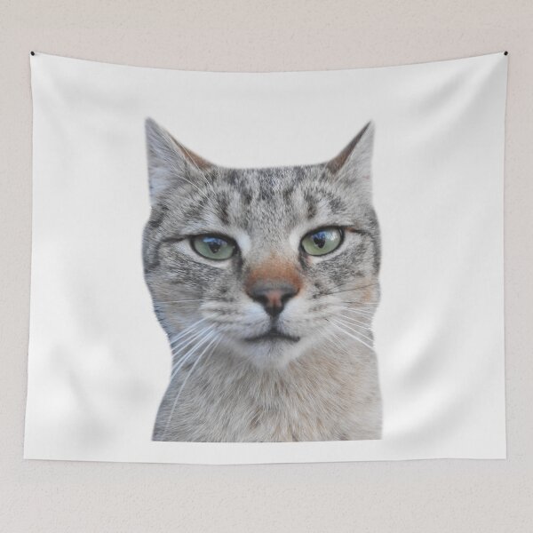 Item preview.
