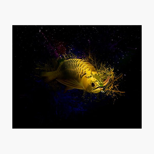 Gold Asian Arowana Aquatic Portrait  Graphic T-Shirt for Sale by  Digital-designs