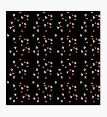 After Dark Special Photographic Print