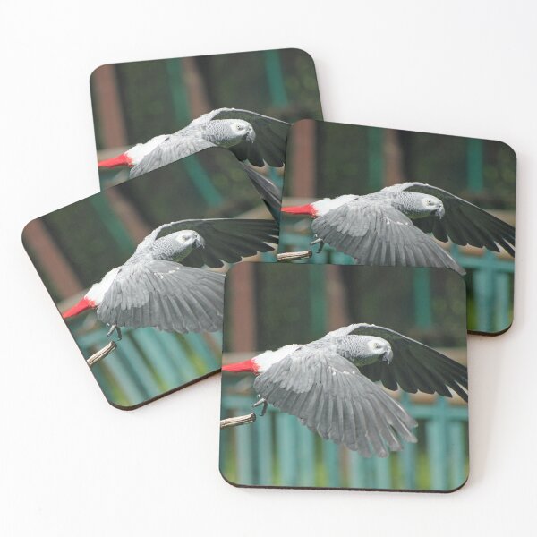 Item preview, Take Off designed and sold by Hann Regan  Photography.