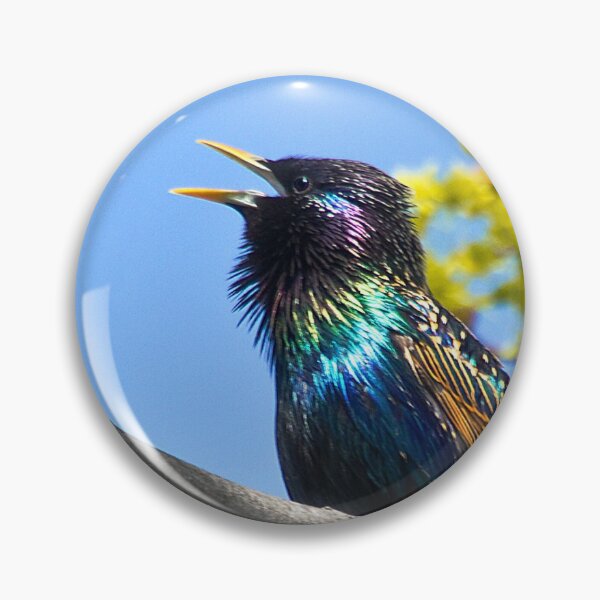 Item preview, European Starling designed and sold by PixlPixi.