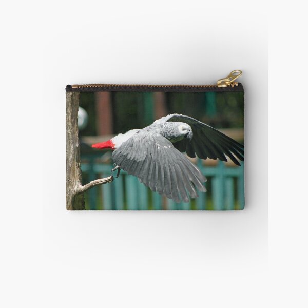 Item preview, Take Off designed and sold by Hann Regan  Photography.