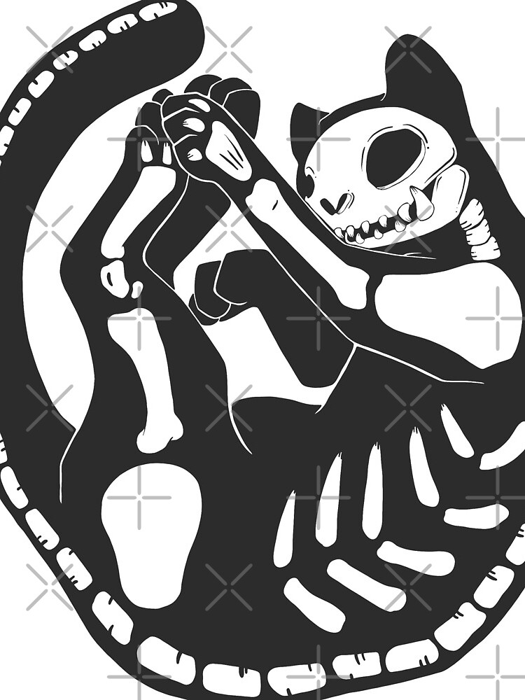 Cat Skeleton Halloween Artwork by cellsdividing