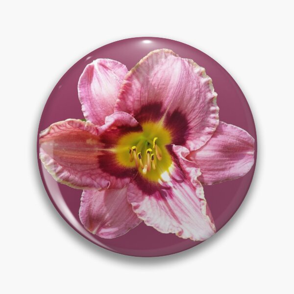 Always Afternoon Day Lily (Dark Pink) Pin