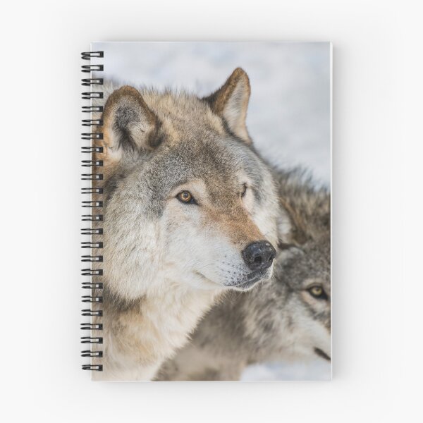 Item preview, Timber Wolves designed and sold by Michael Cummings.