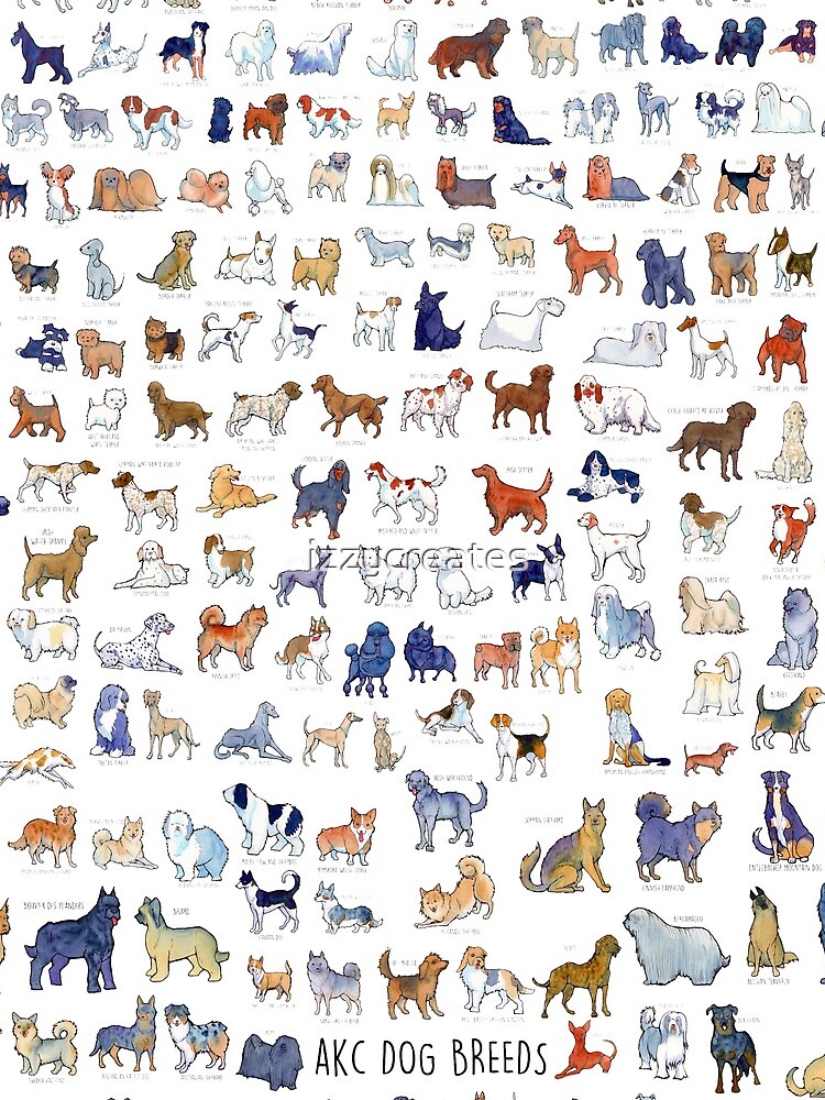 Every AKC Dog Breed by izzycreates