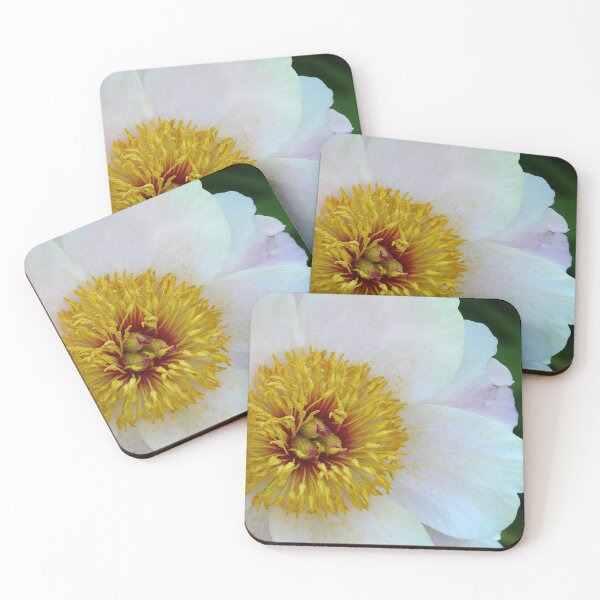 Item preview, White Peony designed and sold by artgoddess.