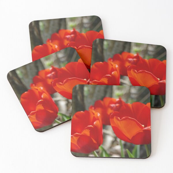 Item preview, Tulips in the sunshine designed and sold by Iltu.