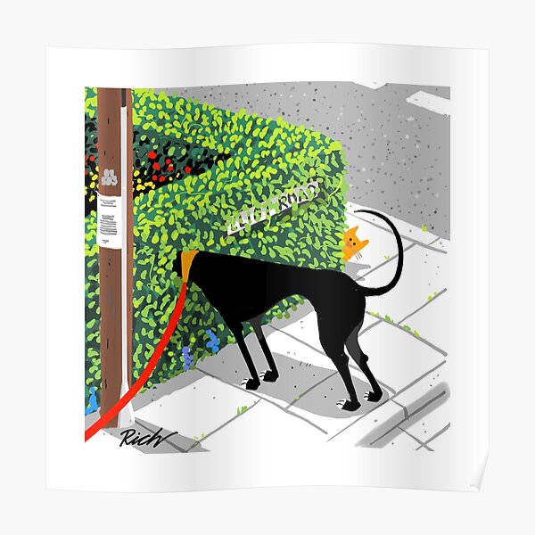 Checking for Cats Poster