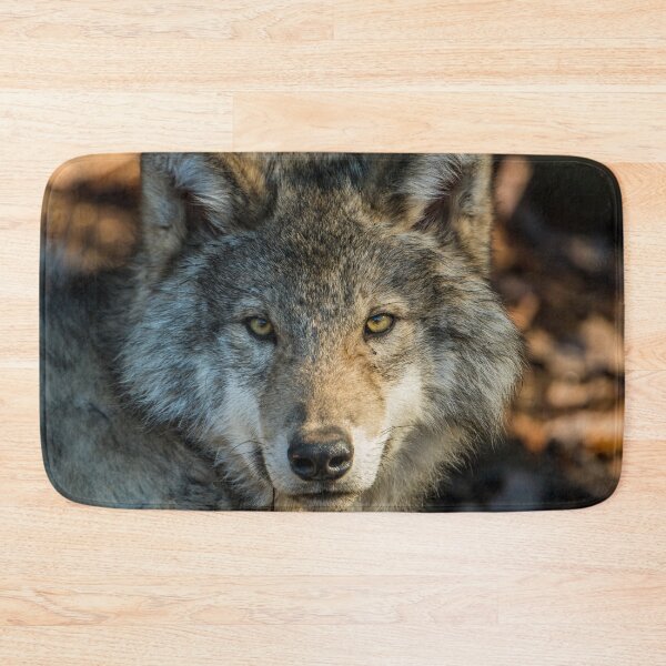 Item preview, Timber Wolf - Looking at you. designed and sold by Michael Cummings.