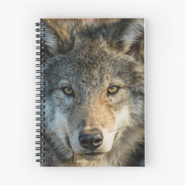 Item preview, Timber Wolf - Looking at you. designed and sold by Michael Cummings.