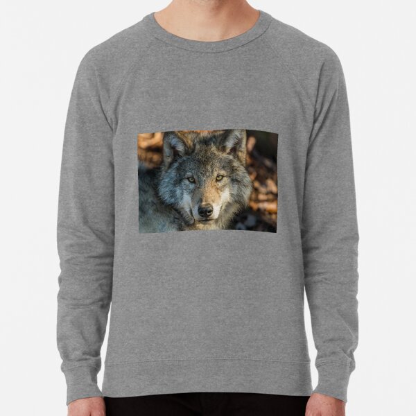 Timber Wolf Sweatshirts Hoodies Redbubble - roblox timber wolf