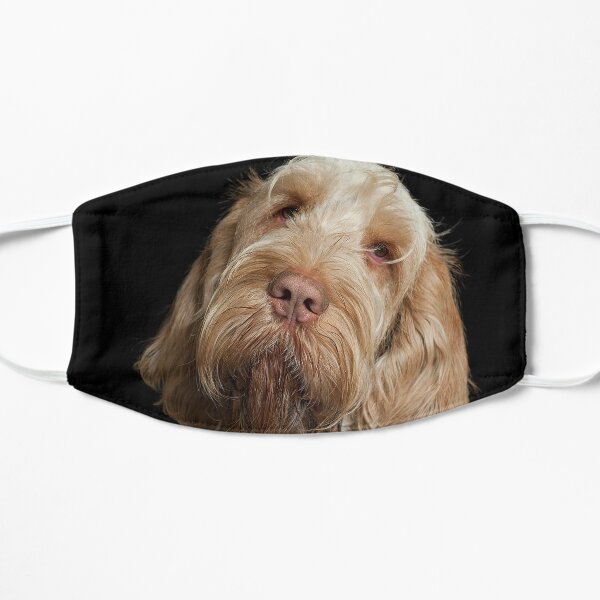 Head tilt Spinone Flat Mask