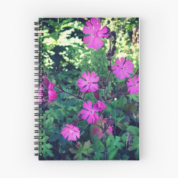 Item preview, Pink campion - designed and sold by SophieNeville.