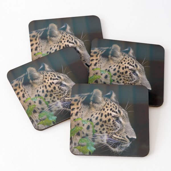 Item preview, Wild cat designed and sold by HalinaJ.