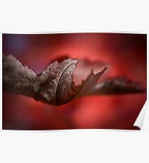 Leaves of Autumn I Poster