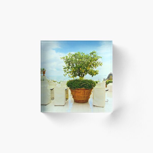 Lemon Tree, Positano, Italy Acrylic Block