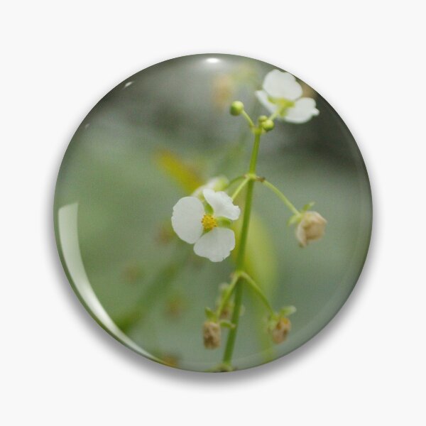 Item preview, magic flower designed and sold by Amy Sandford.