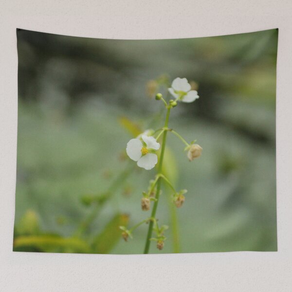Item preview, magic flower designed and sold by Amy Sandford.