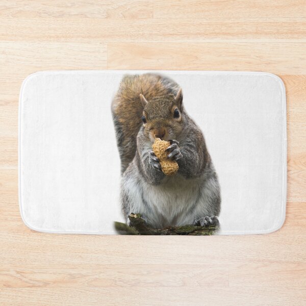 Item preview, The very cutest fluffy Squirrel  designed and sold by InterestingImag.