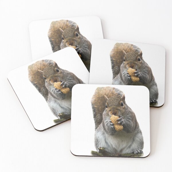 Item preview, The very cutest fluffy Squirrel  designed and sold by InterestingImag.