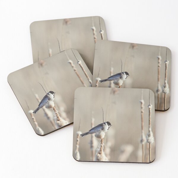 Item preview, Reed Bunting on the bulrush 2 designed and sold by Jouko Lehto Photography.