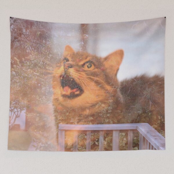Item preview, Gato designed and sold by Amy Sandford.