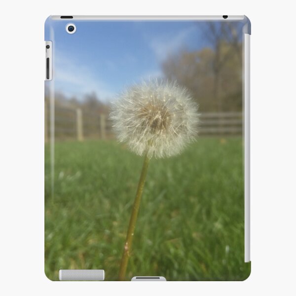 Dandelion iPad Snap Case