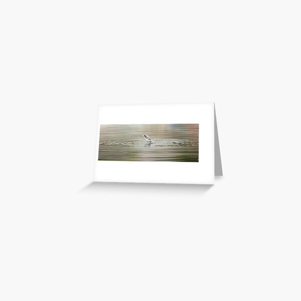 You Can Fly Greeting Card