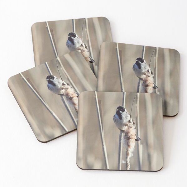 Item preview, Reed Bunting on the bulrush 3 designed and sold by Jouko Lehto Photography.