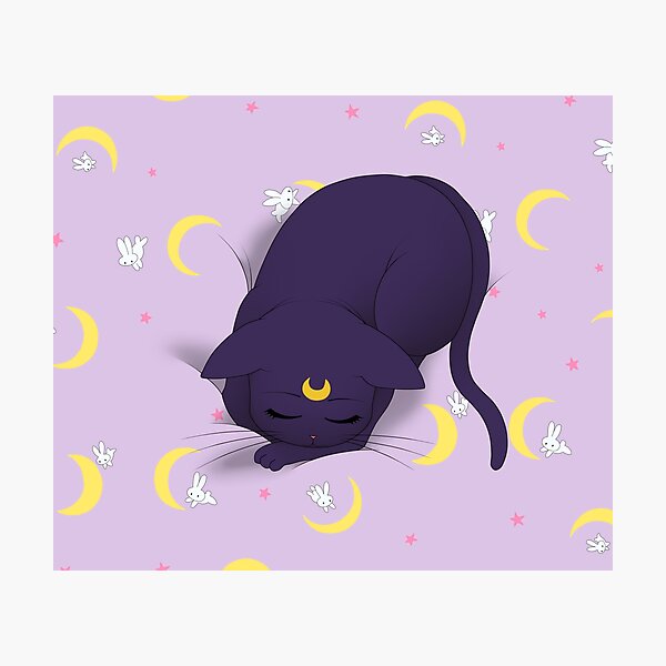 Usagi's bed Photographic Print