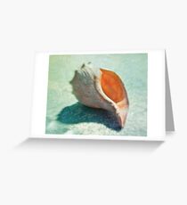 She saw a seashell... Greeting Card