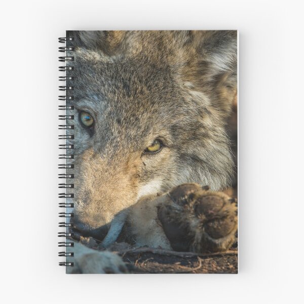 Item preview, Timber Wolf designed and sold by Michael Cummings.