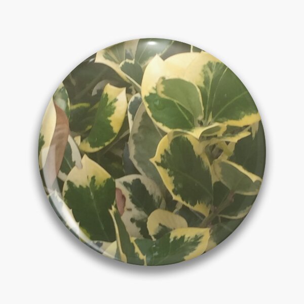 Item preview.