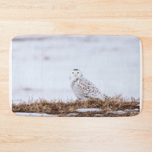 Item preview, Female Snowy Owl designed and sold by Alyce Taylor.