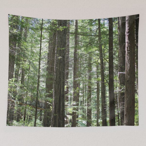 Item preview, Trees designed and sold by Amy Sandford.