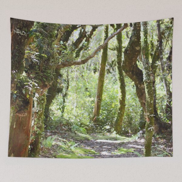 Item preview, magic forest designed and sold by Amy Sandford.