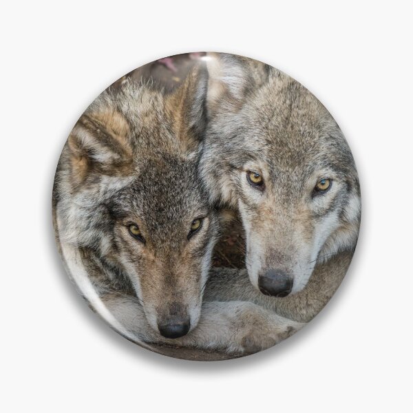 Item preview, Timber Wolves designed and sold by Michael Cummings.