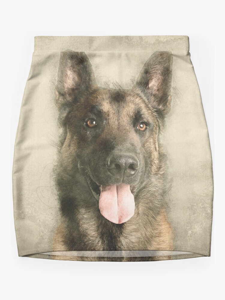 Mini belgian malinois cheap