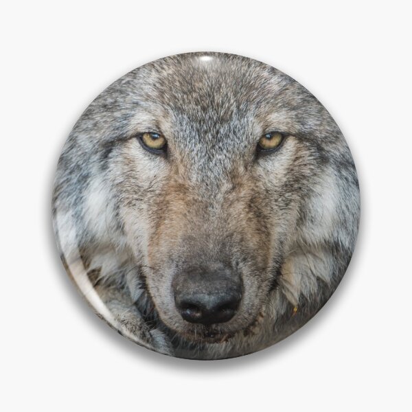 Item preview, Timber Wolf Pup designed and sold by Michael Cummings.