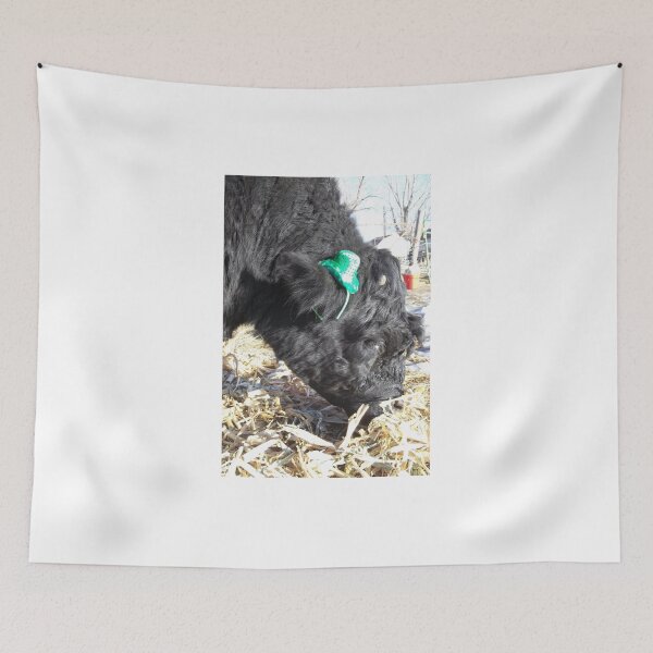 Item preview, Jobie the Leprechaun designed and sold by JobieMom.
