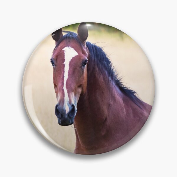 Item preview, Chestnut Gelding designed and sold by InterestingImag.