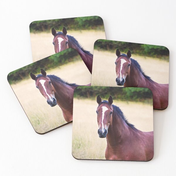 Item preview, Chestnut Gelding designed and sold by InterestingImag.