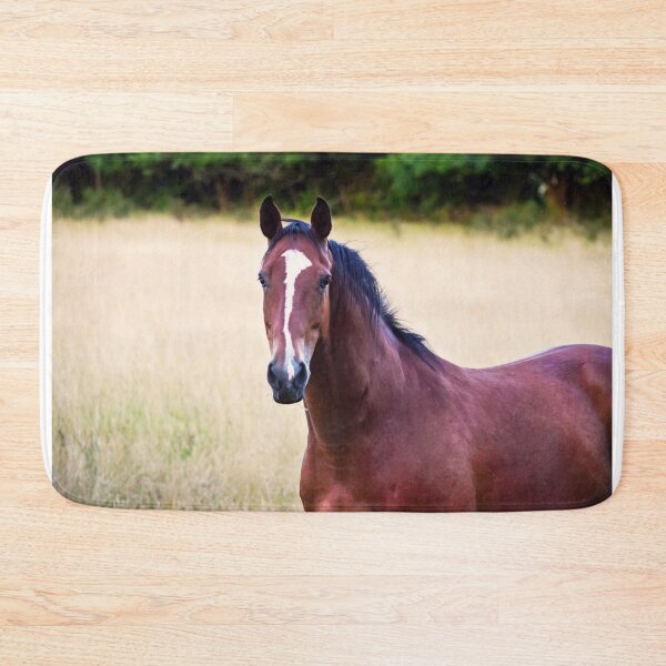 Item preview, Chestnut Gelding designed and sold by InterestingImag.