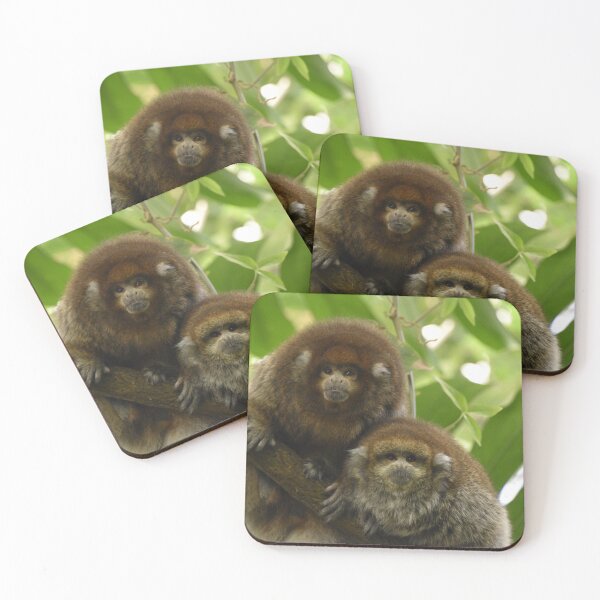Item preview, Titi Monkeys at the National Zoo designed and sold by Zoo and Nature Photography by Karie.
