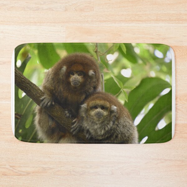 Item preview, Titi Monkeys at the National Zoo designed and sold by Zoo and Nature Photography by Karie.