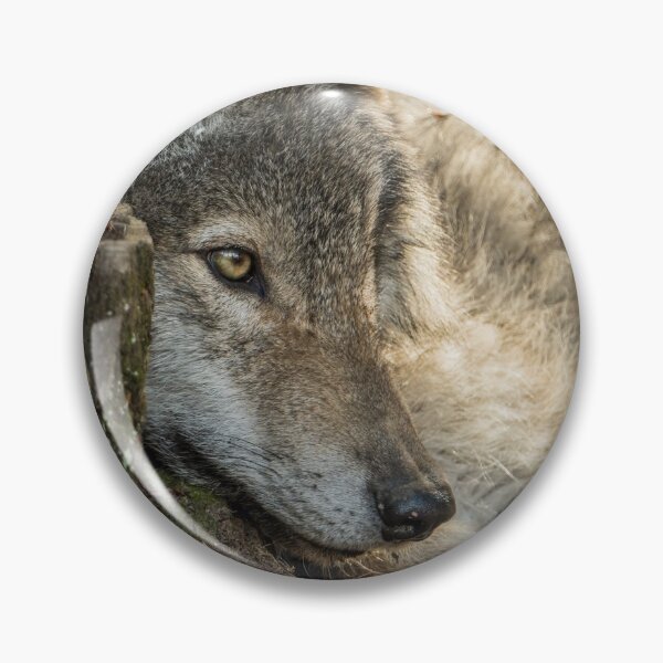 Item preview, Timber Wolf Pup designed and sold by Michael Cummings.