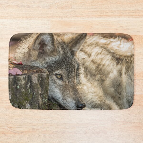 Item preview, Timber Wolf Pup designed and sold by Michael Cummings.