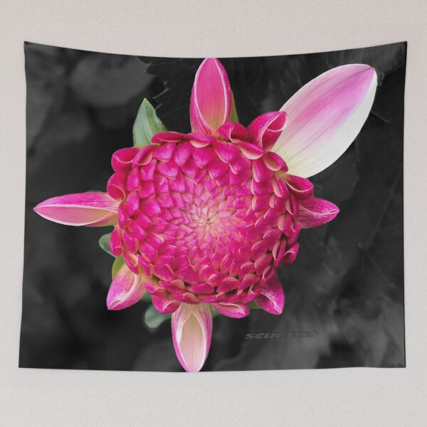 Item preview, Buddy Dahli designed and sold by Sarah Curtiss.